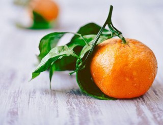 ����ע��ũҵũ�岿ת��2024�����·����������ӳ������